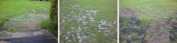 �W���C���g����