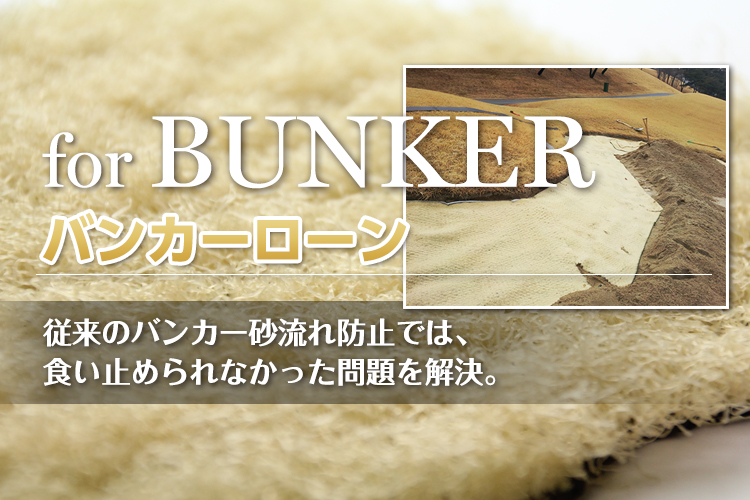 �o���J�[���[��