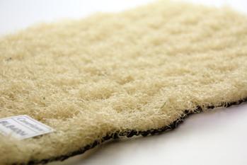 �o���J�[���[��