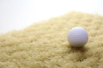 �o���J�[���[��