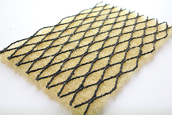 �o���J�[���[��