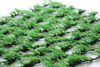 �i�`������50