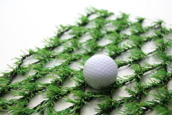 �i�`������50