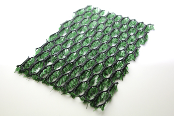 �i�`������50