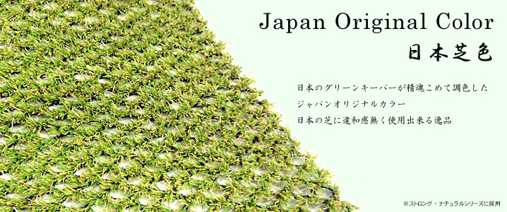 ���{�ŐF�̂��Љ�