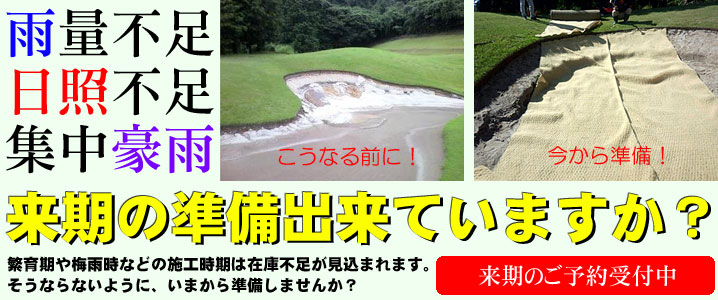 �����̂��\���t��