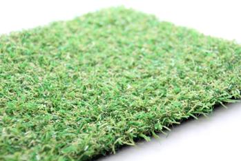 ���A���V���[�Y