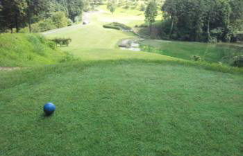 �S�ʂɃJ�o�[���[�����{�H