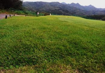 �{�s�R�T�Ԍ�