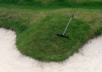 �_��Ȃ̂ŋȖʂł��{�H�\