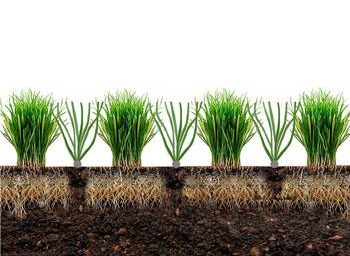 �J�o�[���[���Ǝł����񂾃C���[�W